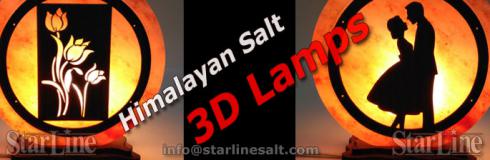 3D Himalayan salt lamps